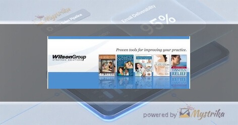 Wilson Group Strategic Solutions