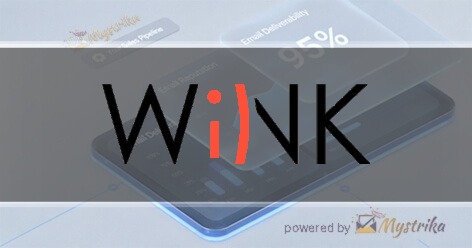 WiNK srl Agency logo