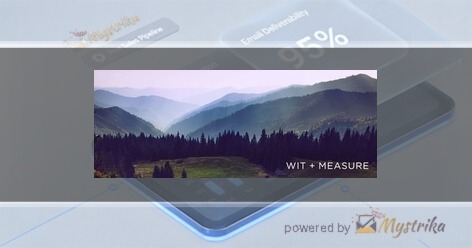 Wit & Measure