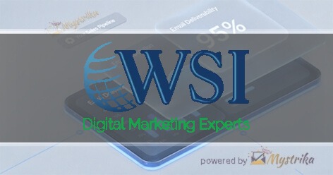 WSI Digital Marketing Experts