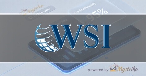 WSI eStrategies Agency logo