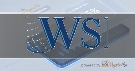 WSI-Optimized Web Solutions