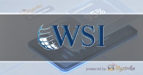 WSI Web Enhancers