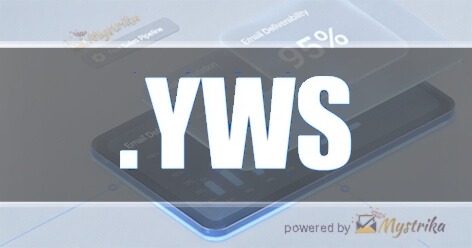 Young Web Solutions