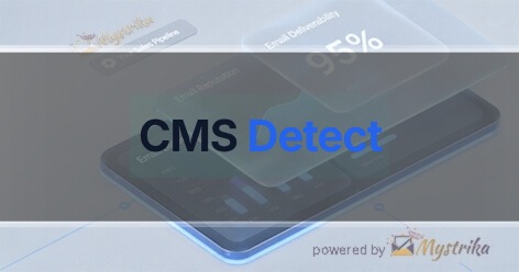 CMS Detector